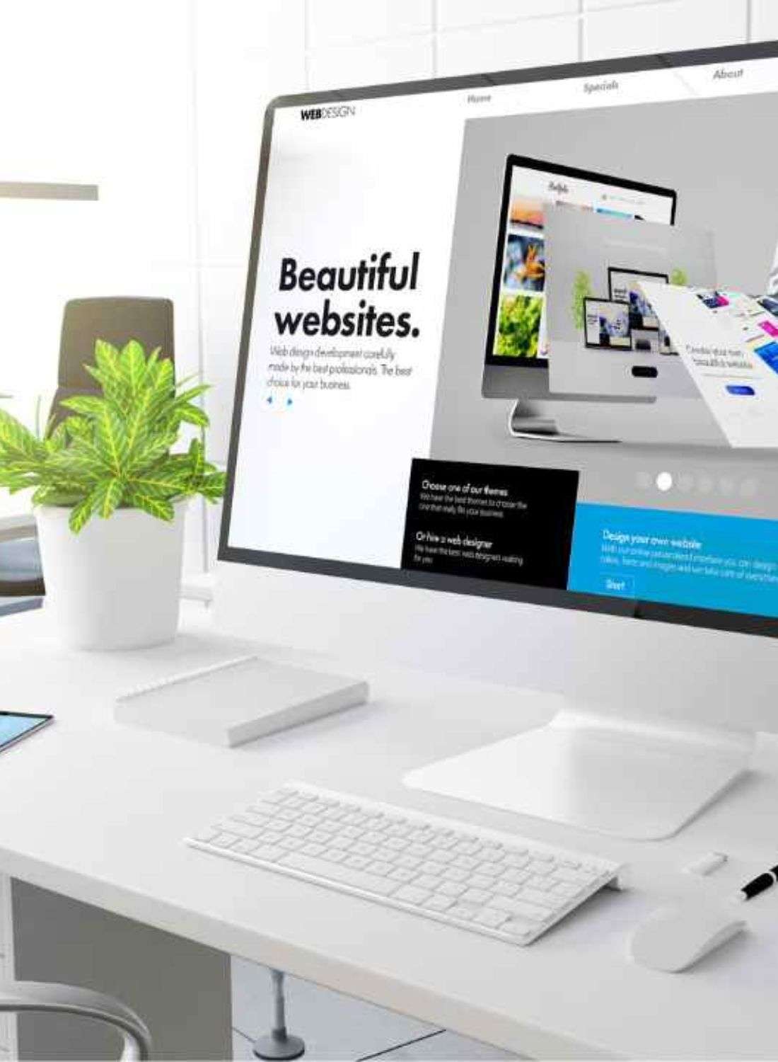 Website (1)